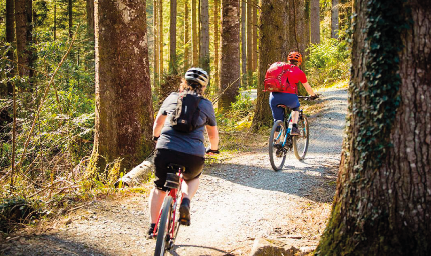 Two cyclists on a forest track